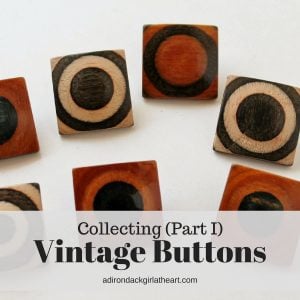 Collecting Buttons Part I adirondackgirlatheart.com