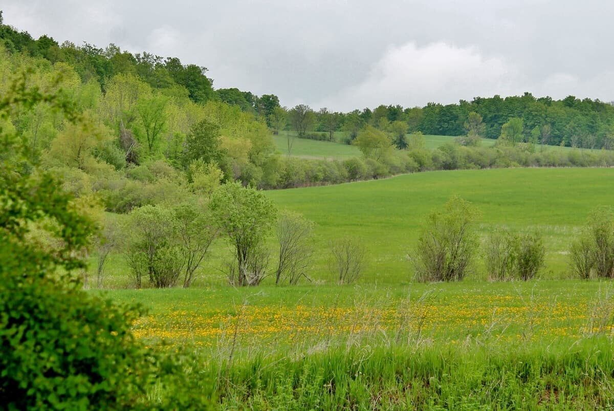 The Beekman 1802 Farm Tour & Garden Party • Adirondack Girl Heart