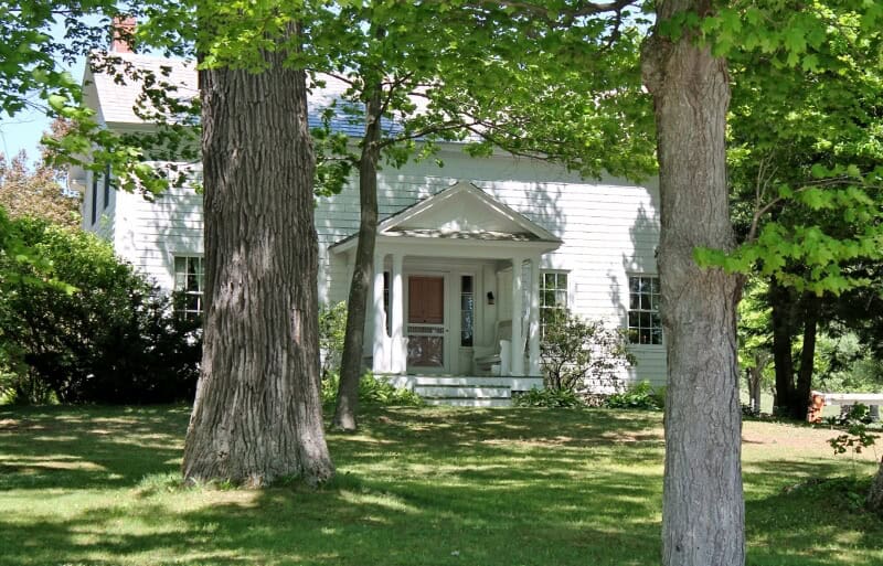 White house behind some trees