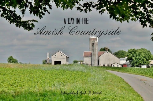 The Amish Countryside (Lancaster, PA)