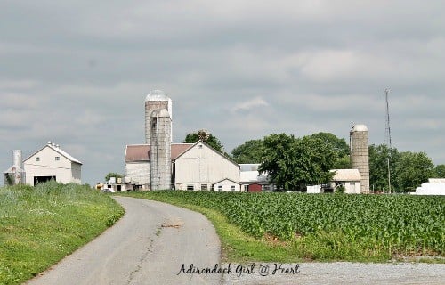 amish farm