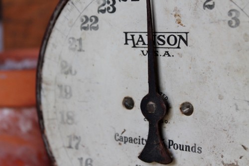 vintage hanson scale