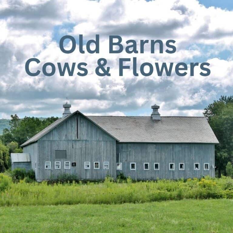 gray barn with fluffy clouds and green grass