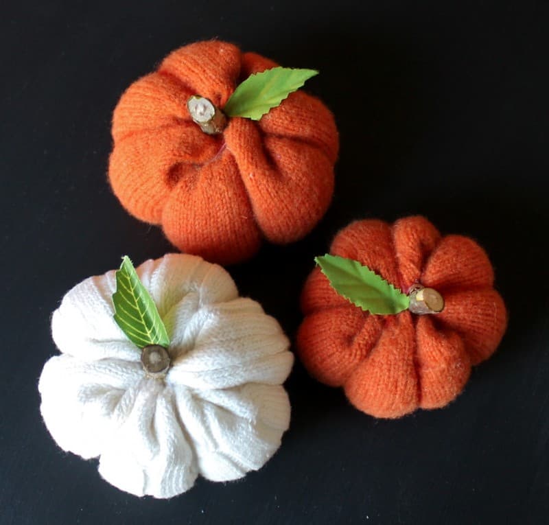 top view of three sweater pumpkins