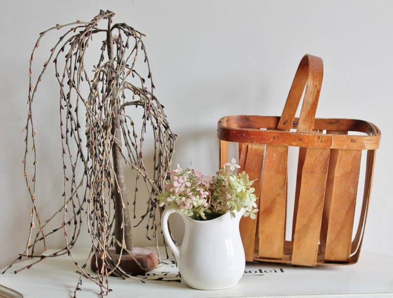 vintage basket and weeping tree