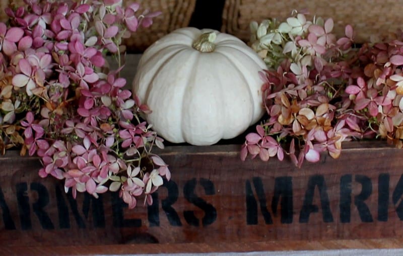 Farmers market Centerpiece at Adirondack Girl @ Heart