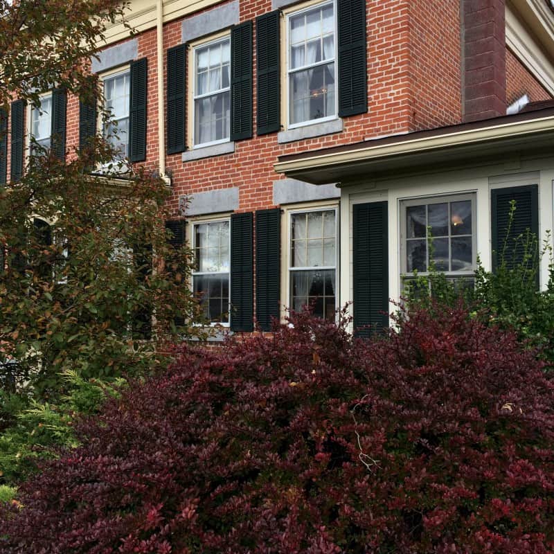 George Mann Tory Tavern