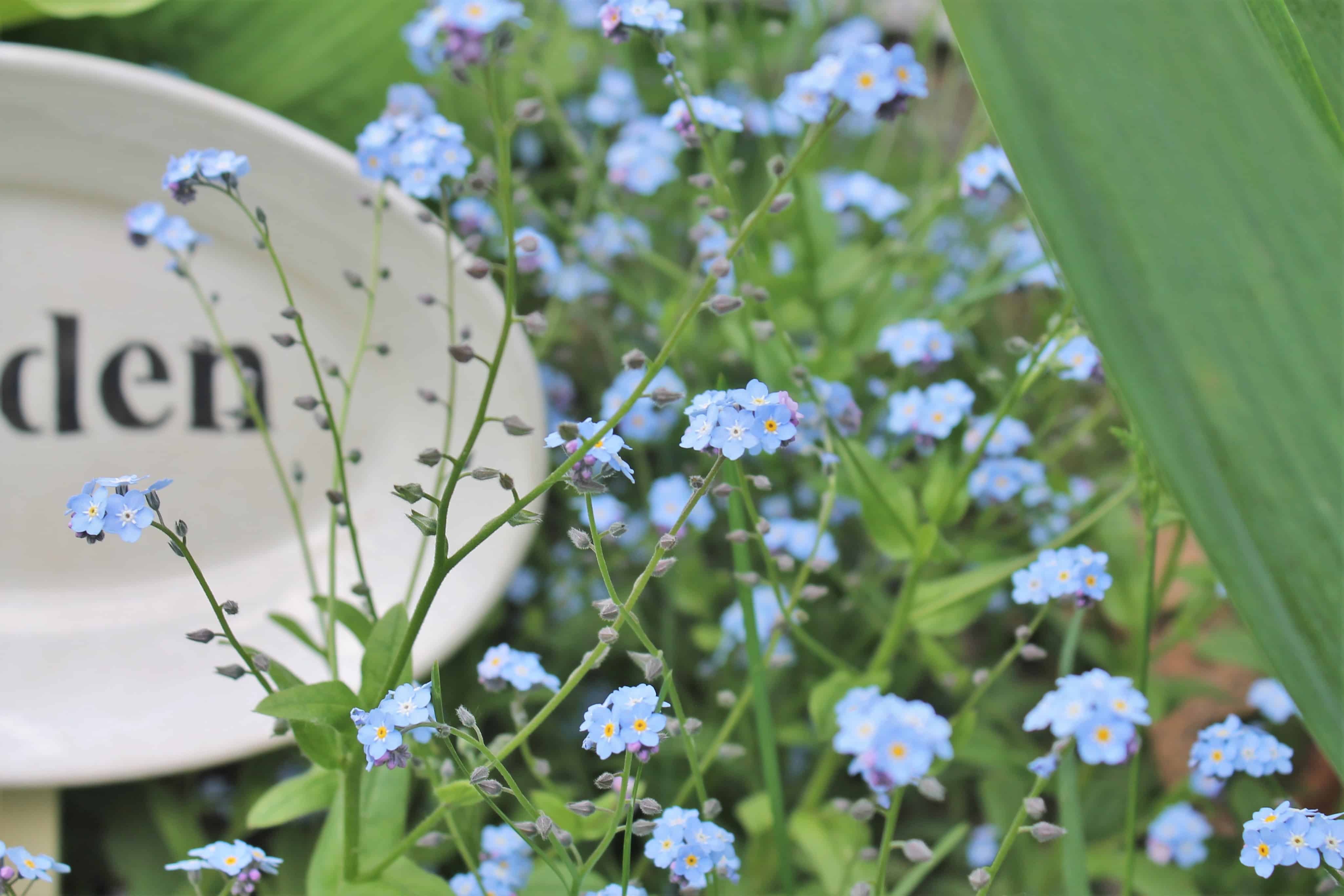 Garden sign on vintage platter (7)