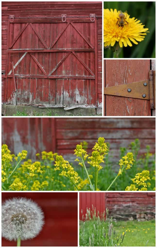 Red Barn Collage