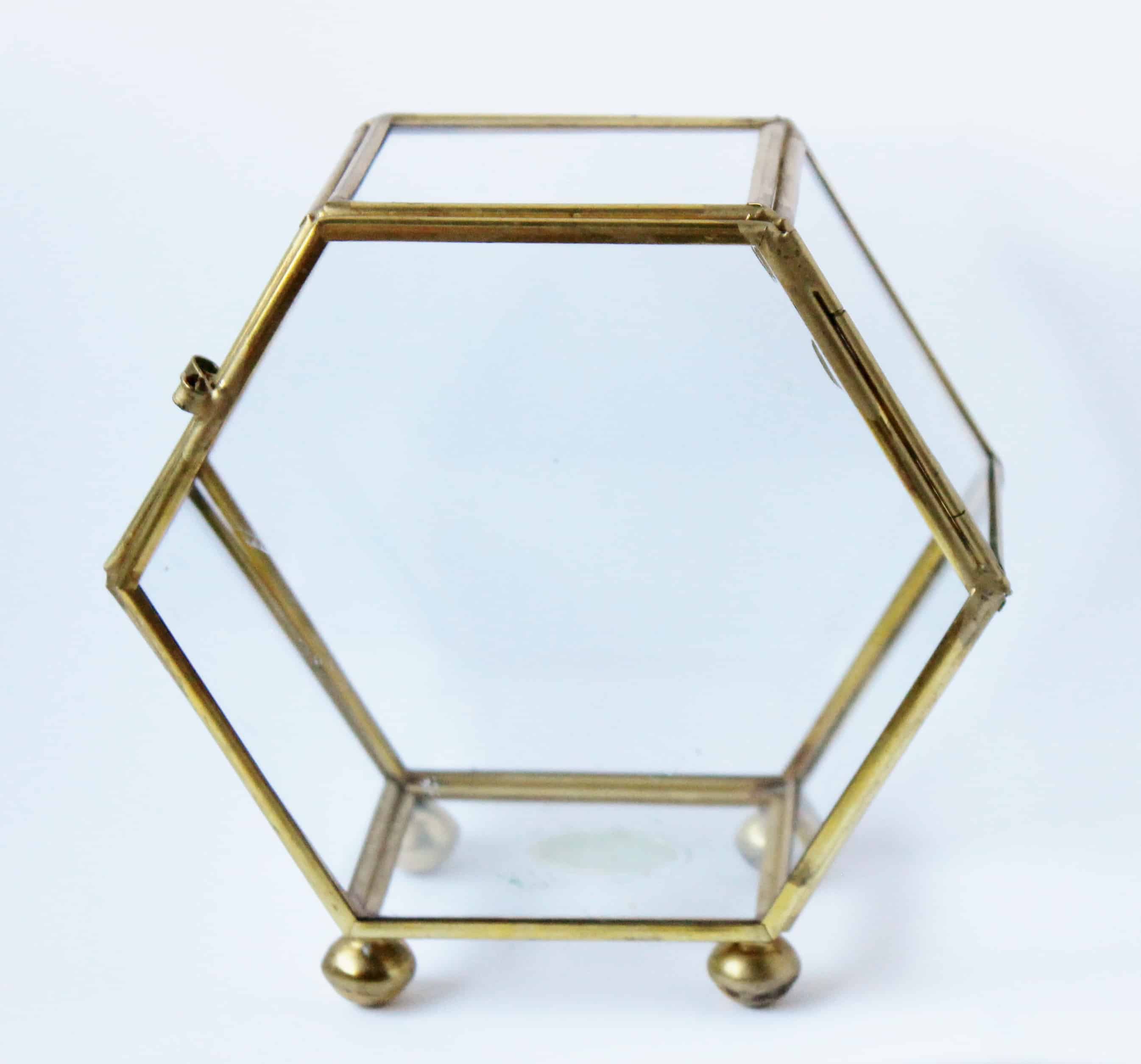 vintage-brass-glass-case