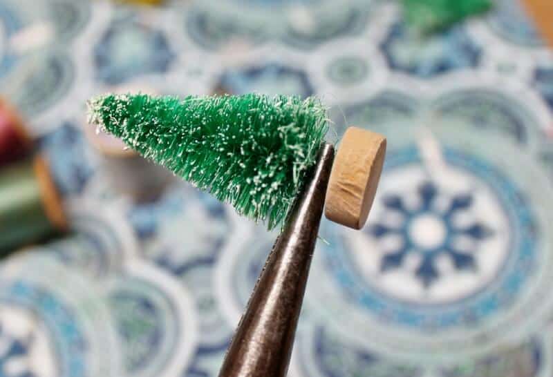 removing the wooden base of a bottle brush tree