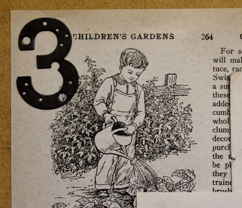 Close up of little boy in the garden