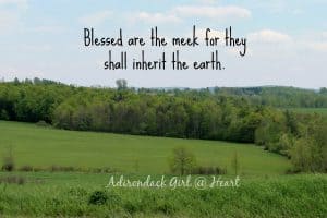 Blessed are the meek