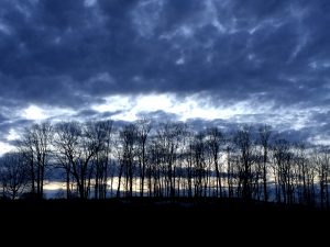 god brings life into dry places
