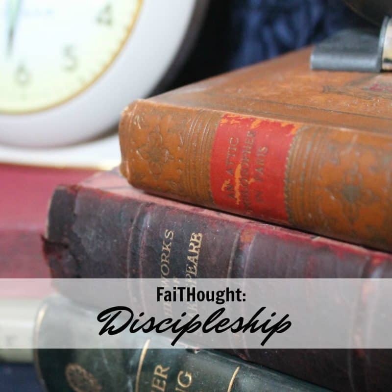 discipleship vintage books