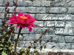 love deeply
