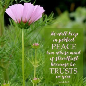 Perfect Peace