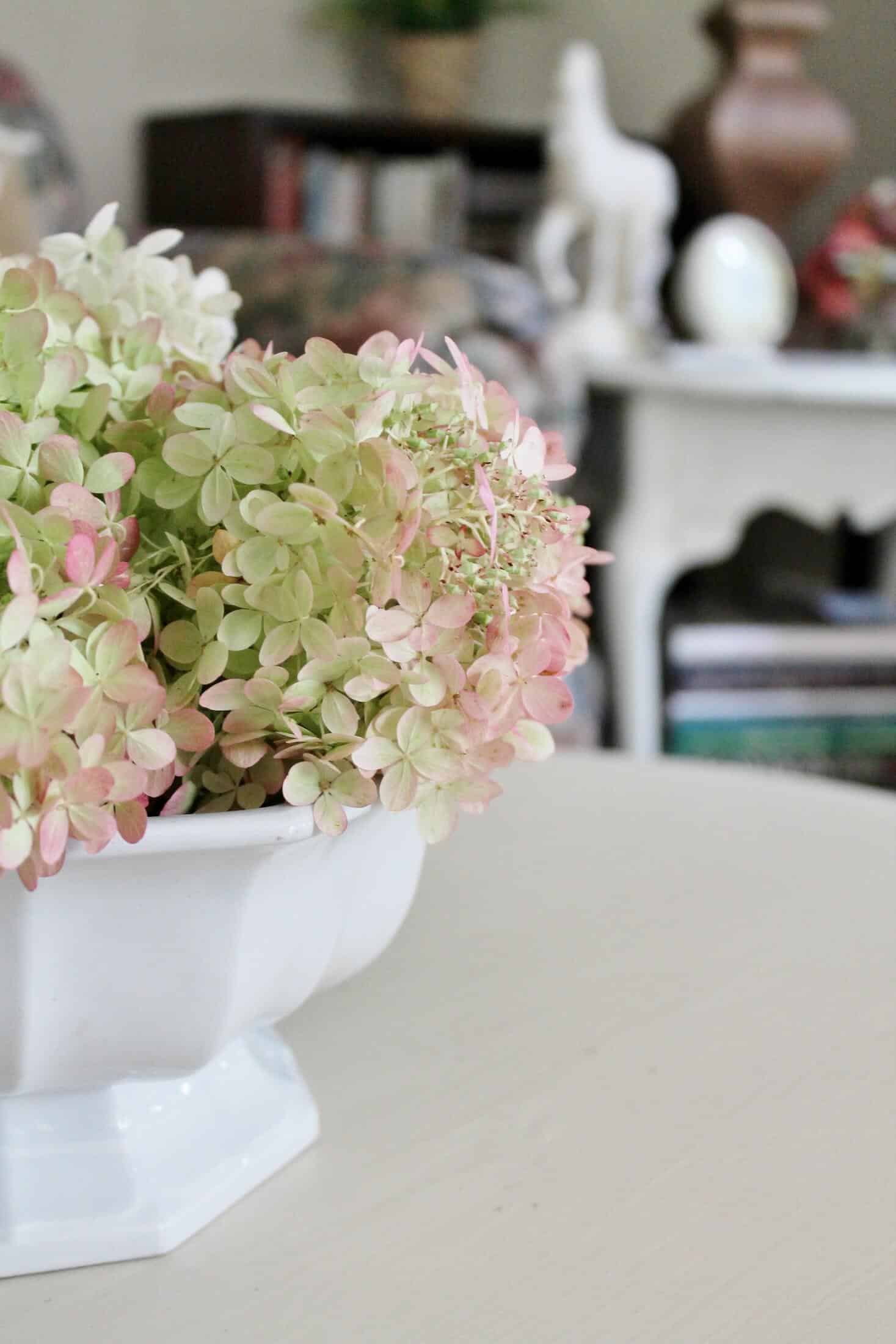 side view of hydrangea 