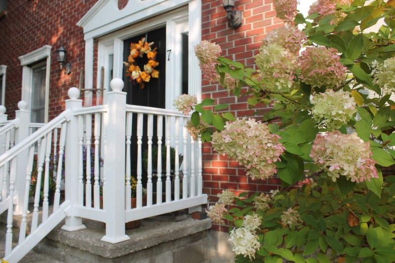 Fall hydrangea with fall front door
