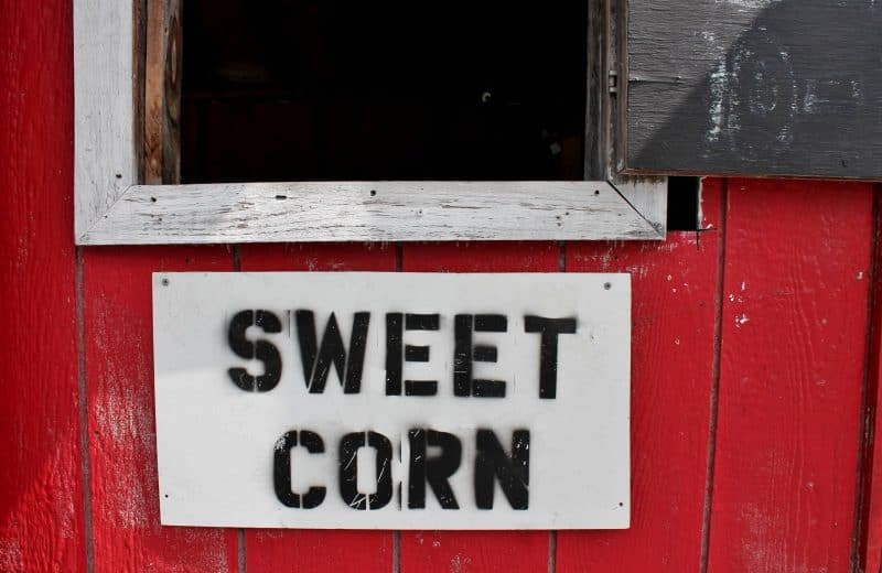 Sweet corn sign