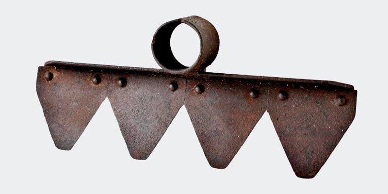 old 4-toothed rake head?