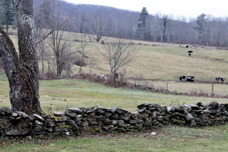 pastures outside the inn at covered bridge