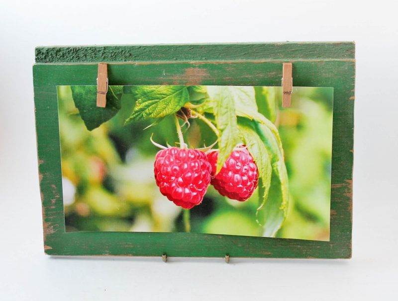 raspberry photo on green vintage wood display