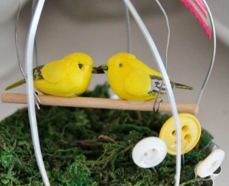 tart pan love bird cage