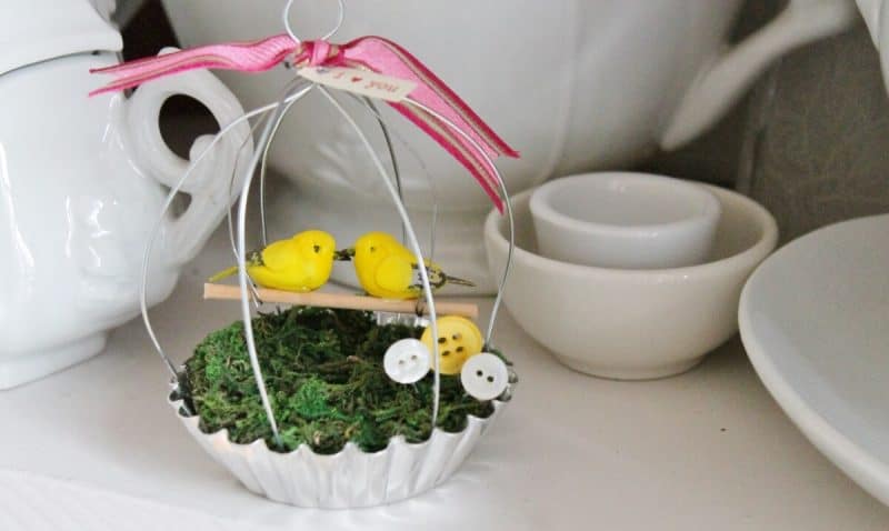 tart pan love bird cage