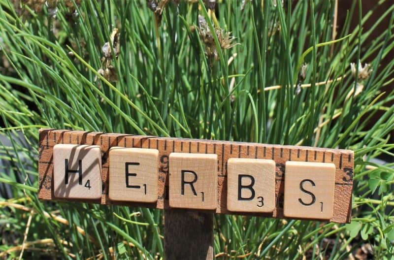 Vintage yardstick and scrabble tile herbs marker "herbs"