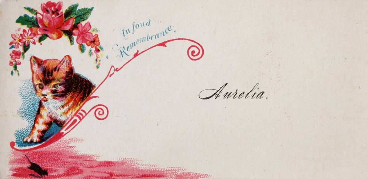 Antique Victorian Calling Card Guide + Free Printables • Adirondack ...