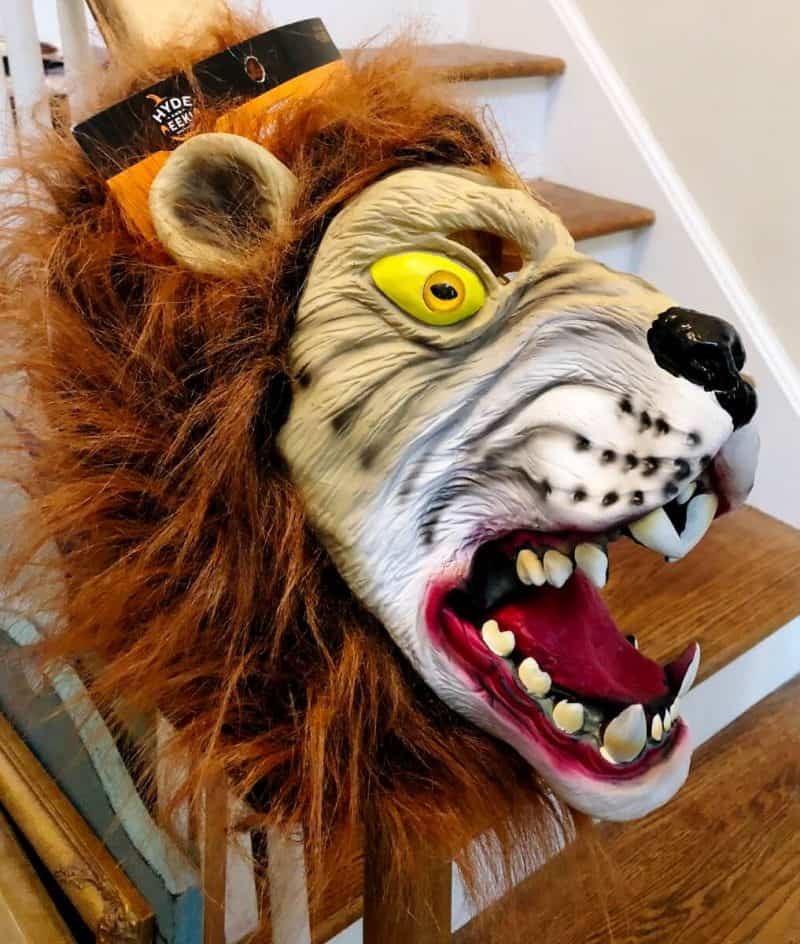 lion maske