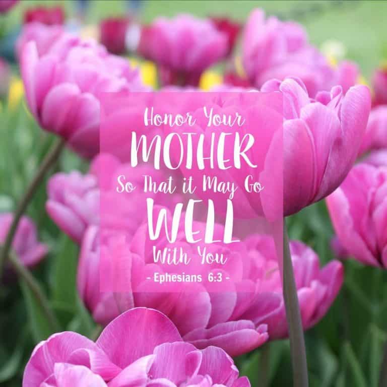 Honor Your Mother