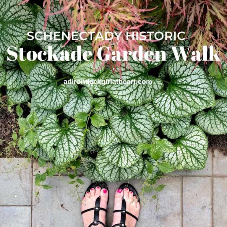 Schenectady Stockade Historic Garden Walk adirondackgirlatheart.com
