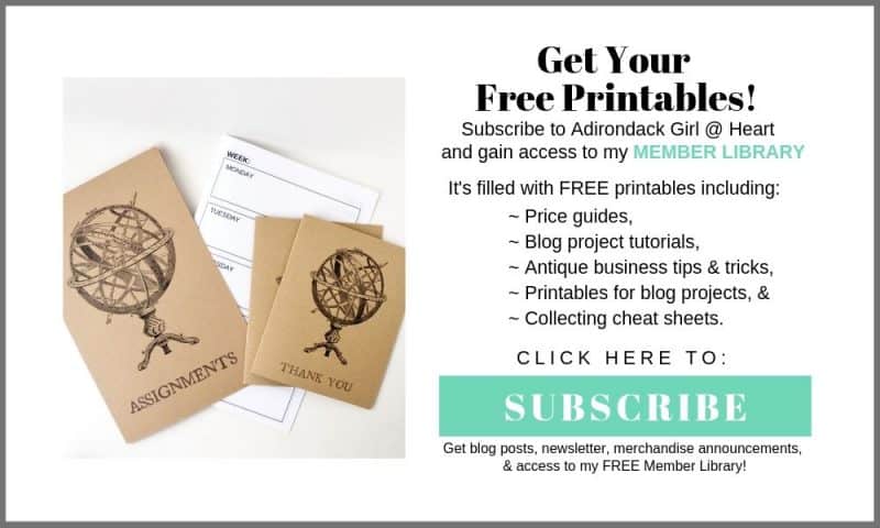 Subscription form with printable Vintage globe assignment booklet