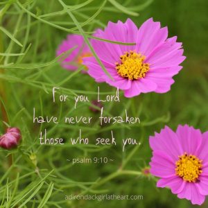 pink flowers with text: for you Lord have never forsaken those who trust you