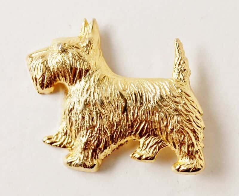 gold scottie pin