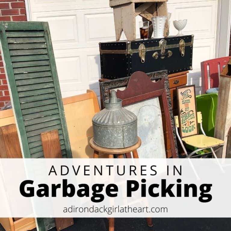 Adventures in Garbage Picking