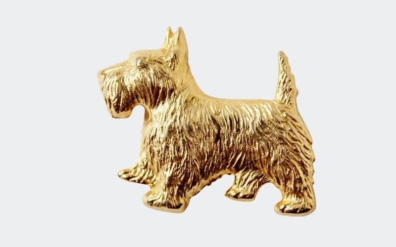gold scottie pin