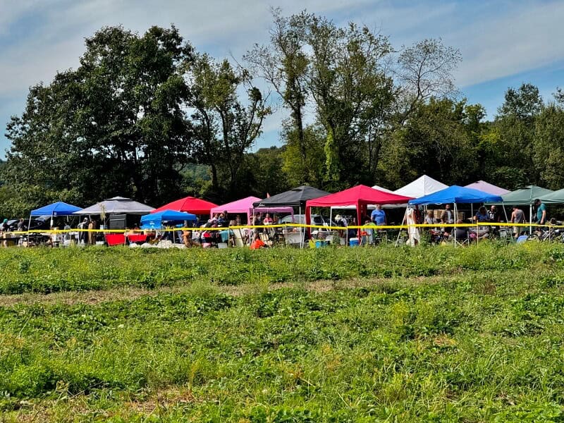 red, white, and blue flea market tents